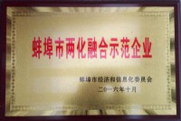 蚌埠市两化融合示范企业